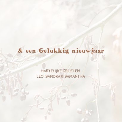 Winters bos met roodborstje 3