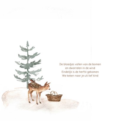 Winters geboortekaartje met een hertje en een baby in mandje 2