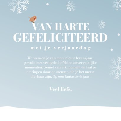 Winters verjaardagskaartje met 2 vogeltjes  3