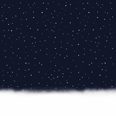 Winterse Save the Date kaart met 2 corgi honden en lampjes Achterkant