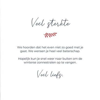  Winterse sterkte kaart met natuurfoto rozenbottel 3