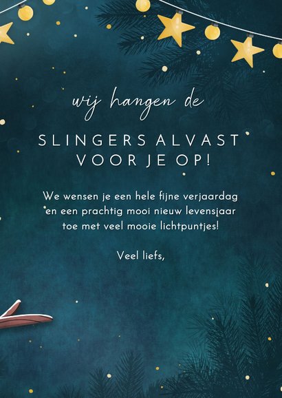 Winterse verjaardagskaart met vogels en lampjes 3