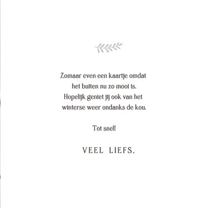 Winterse wenskaart met foto van planten in de sneeuw 3