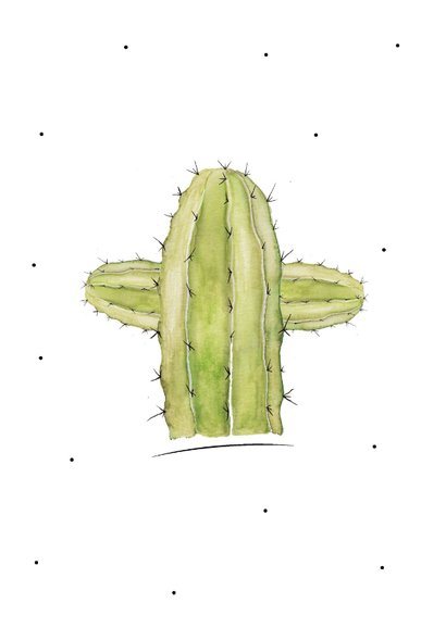 Woonkaart botanisch cactus there is no place like home 3