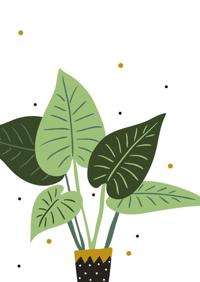 Woonkaart: Welcome to our jungle 2