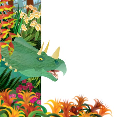 YVON dinosaurus foto jongenskaart 2