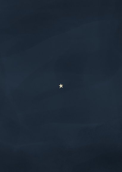 Zakelijk kerstkaartje fotocollage bedankt goudlook Achterkant