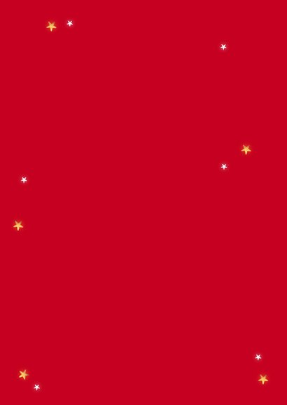 Zakelijke financiële kerstkaart geld kerstboom sterren Achterkant