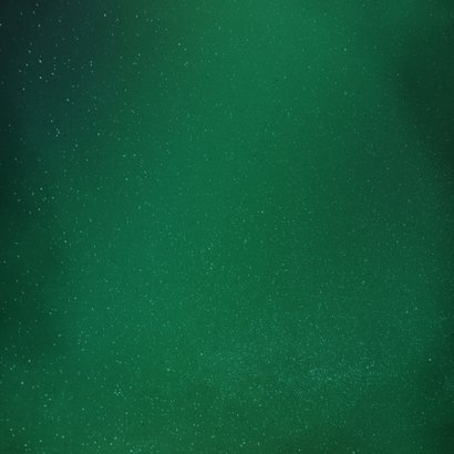 Zakelijke foto kerstkaart 2026 Achterkant