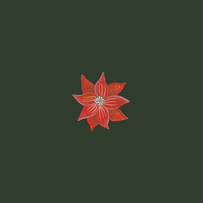 Zakelijke kerstkaart botanische kerstster bloemen Achterkant