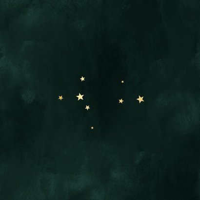 Zakelijke kerstkaart dennentakjes groen goud sterren logo Achterkant