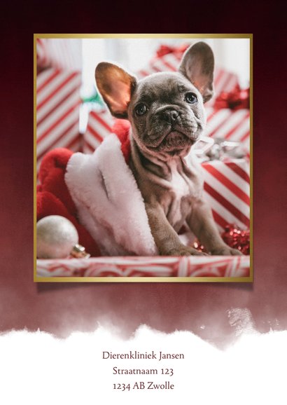 Zakelijke kerstkaart dieren branche foto, waterverf & pootje 2