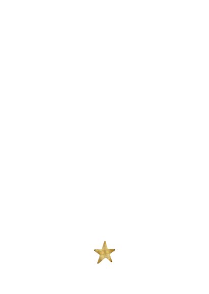 Zakelijke kerstkaart fotocollage terugblik 2026 Achterkant