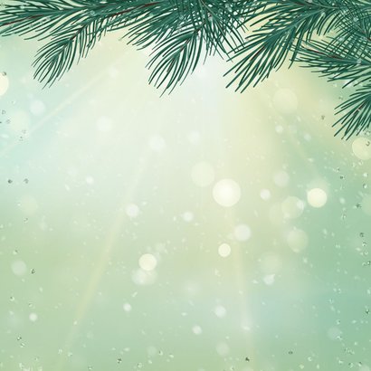 Zakelijke kerstkaart groen gekleurde kristallen kerstballen Achterkant