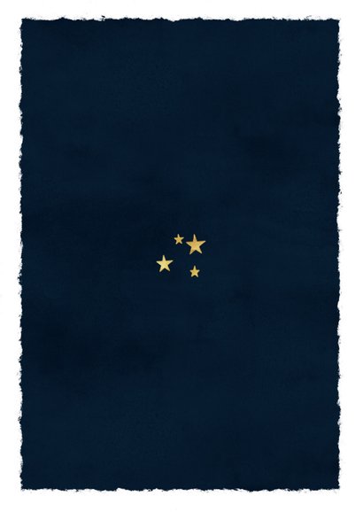 Zakelijke kerstkaart hovenier branche fotocollage Achterkant