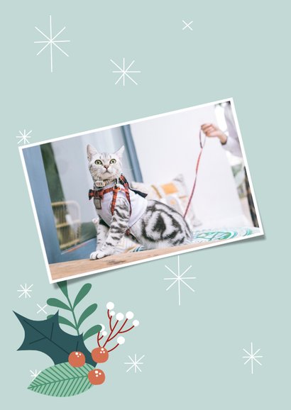 Zakelijke kerstkaart met illustratie van kat en takjes 2