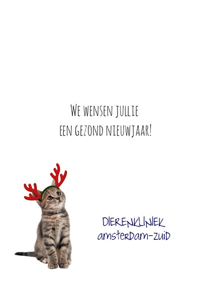 Zakelijke kerstkaart met poes en logo 3