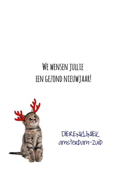 Zakelijke kerstkaart met poes en logo 3
