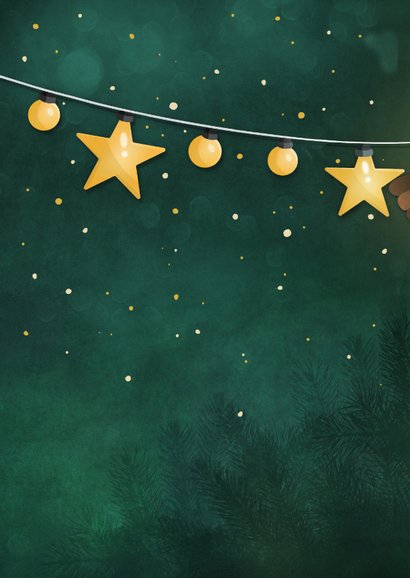 Zakelijke kerstkaart met roodborstjes en lampjes Achterkant