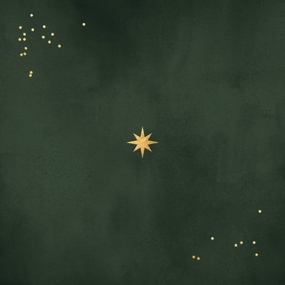 Zakelijke kerstkaart met sterren bedankt logo groen foto Achterkant