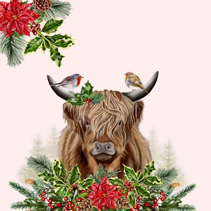 Zakelijke kerstkaart schotse hooglander roodborstjes 2