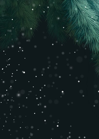 Zakelijke kerstkaart stijlvol 2026 groen goud Achterkant