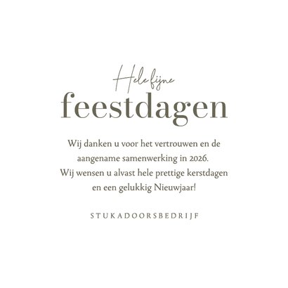 Zakelijke kerstkaart stukadoor schilder witte kerst grappig 3