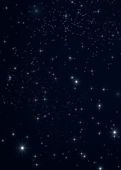 Zakelijke kerstkaart typografie sterretjes Achterkant