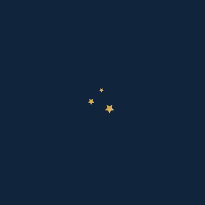 Zakelijke kerstkaart wereldkaart kurk sterren logo Achterkant