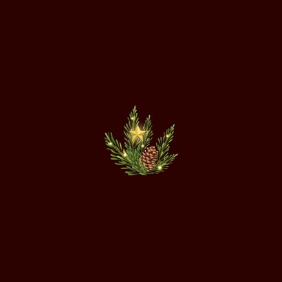 Zakelijke kersttakken met sterren Achterkant