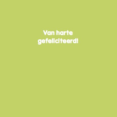 Zingende kat voor je verjaardag 3
