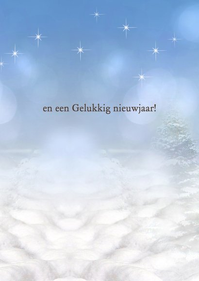 Zingende roodborst in de sneeuw 3