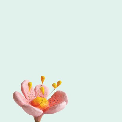 Zomaar bloem en bijtjes 3