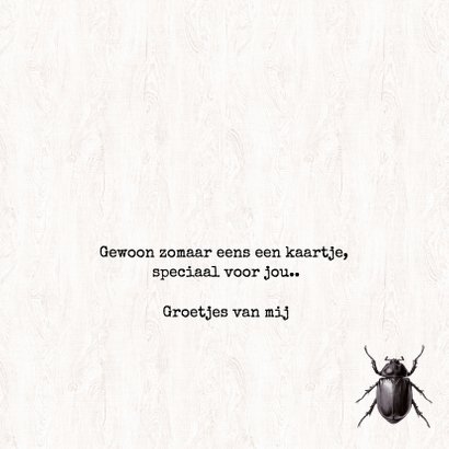 Zomaar een kaartje 'WHAT'S BUGGING YOU?' 3