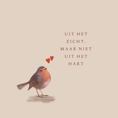 Zomaar kaart roodborstje met mondkapje 2