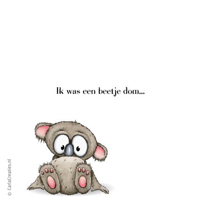 Zomaar kaart sorry koala 2