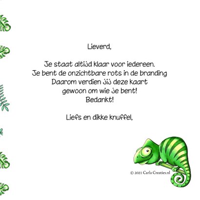 Zomaar kaarten kameleon ik zie jou 3