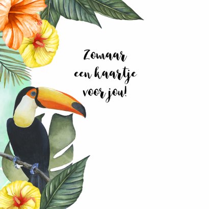 Zomaar tropische vogels 2