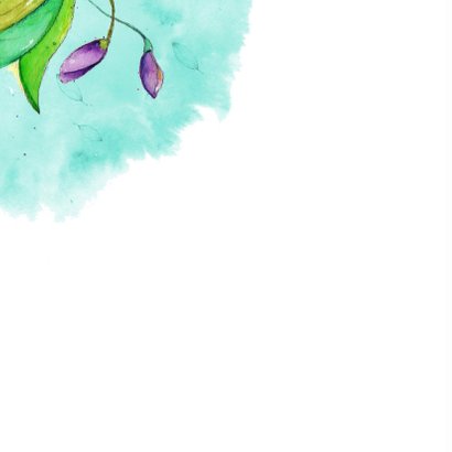 Zomaar wilde bloemen voor jou 2