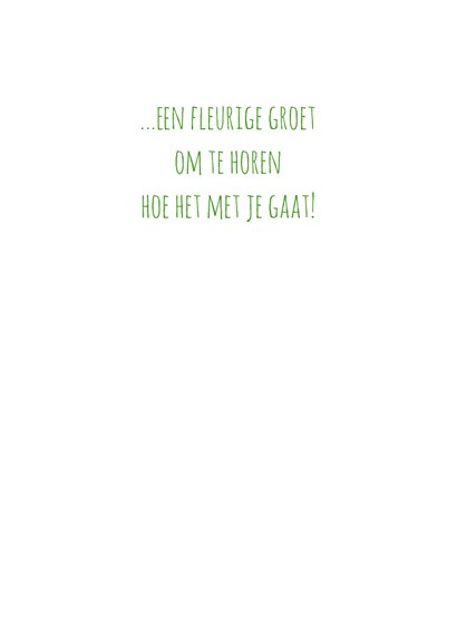 Zomaar zonnig Margrietje 3