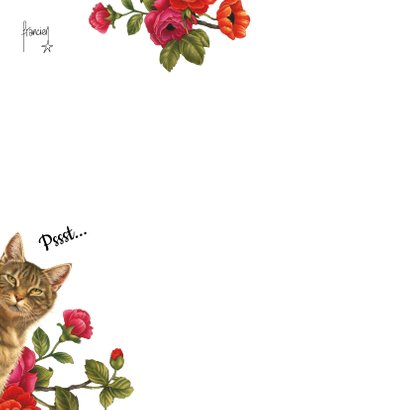 Zomaarkaart Pssst jij daar lieve groetjes bloemen en katten 2