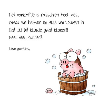 Zomaarkaart succes jij gaat dit varkentje wassen 3