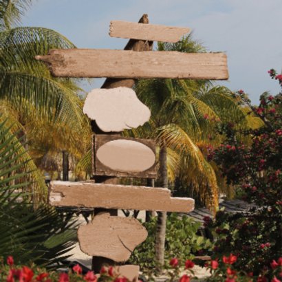Zomer palmbomen paal hout 4knt 2