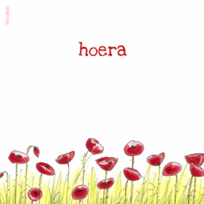 zomerfeest hoera 2