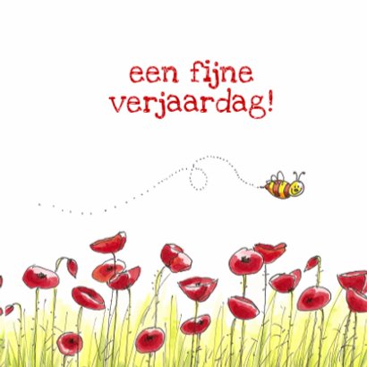 zomerfeest hoera 3