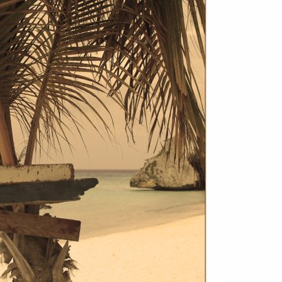 Zomerse kaart strand palmboom 4k 2
