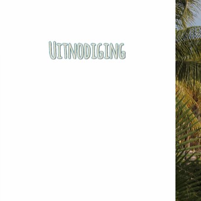 Zomerse uitnodiging palm hout 3