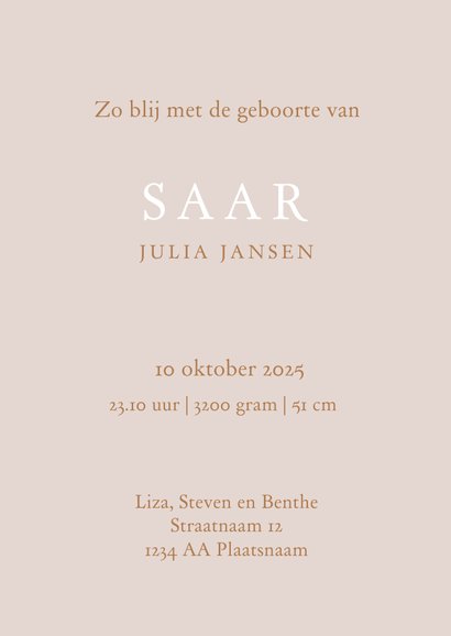 Zus met met kinderwagen met zusje/broertje 3