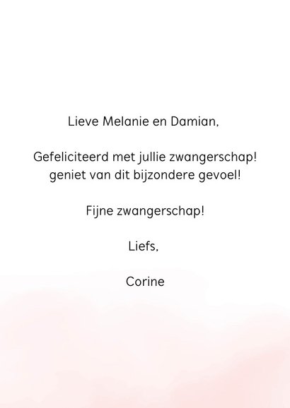 Zwanger, Baby on the way 3