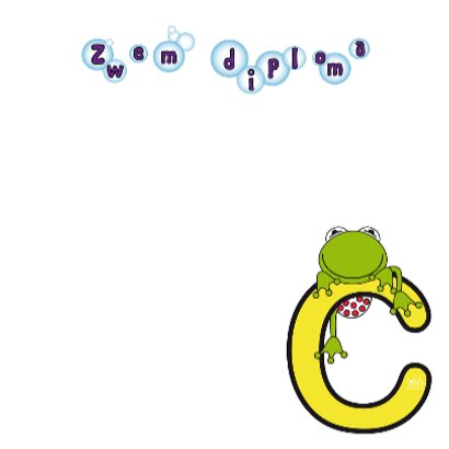 Zwemdiploma C meisjes 3